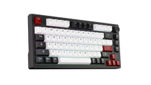 Görseli Galeri görüntüleyiciye yükleyin, DAREU EK75 Pro Beyaz/Siyah - Kablosuz Mekanik Oyuncu Klavyesi - RGB - Dream Switch-HotSwap- PBT Tuş Takımı