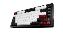 Görseli Galeri görüntüleyiciye yükleyin, DAREU EK75 Pro Beyaz/Siyah - Kablosuz Mekanik Oyuncu Klavyesi - RGB - Dream Switch-HotSwap- PBT Tuş Takımı