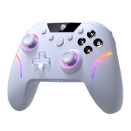 EasySMX X20 -  Kablosuz Gamepad - Hall Effect Stick - RGB - 1000Hz - 6-Axis Gyro - PC/Switch/Steam Uyumlu